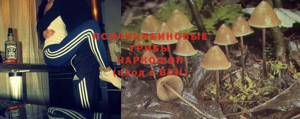мдма Заводоуковск